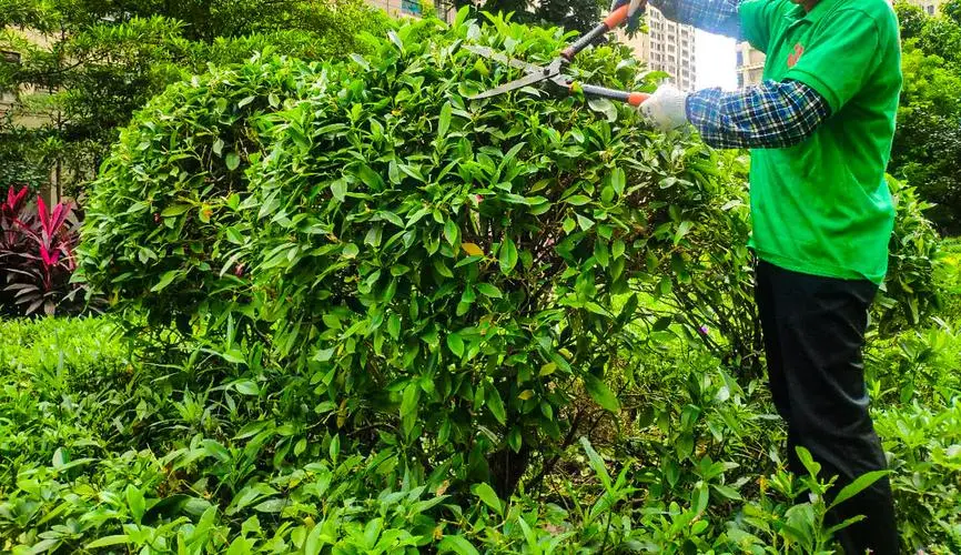 韶关绿化工程标准