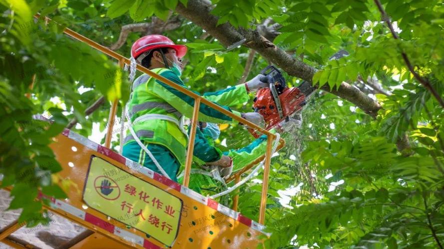 风景园林管理急需创新，现有模式或影响城市品质发展！