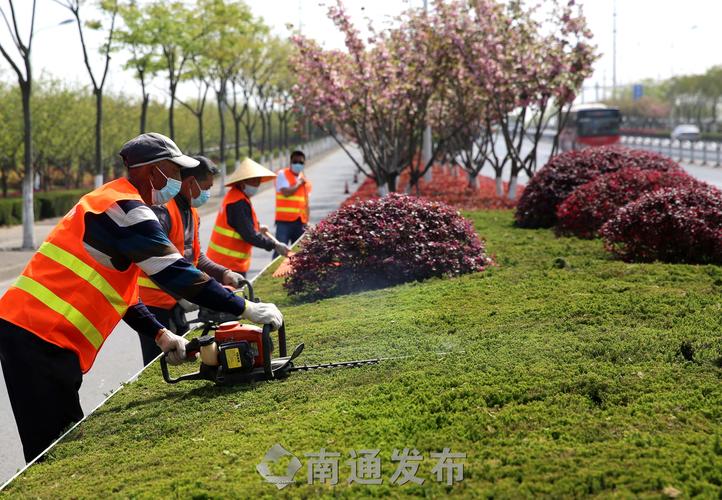 沭阳景之程园林绿化工程